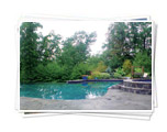 Nature Pool Gallery