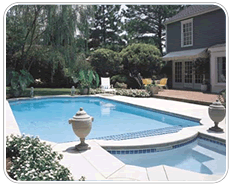 Swimming Pool Designs